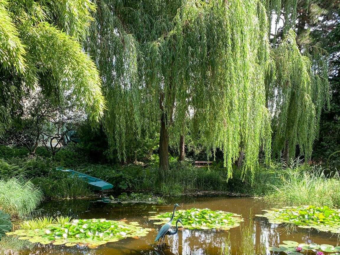 Impressionist water lilies
